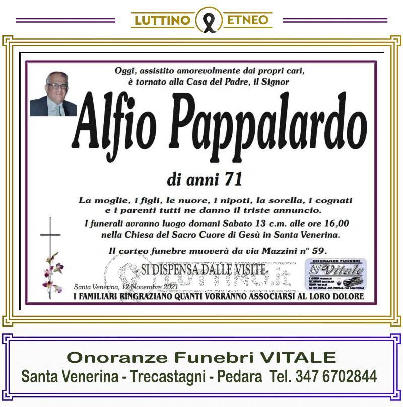 Alfio  Pappalardo 